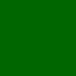 SLS HT 124 - Dark Green, 61 x 53cm FOMEI studiový filtr