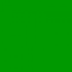 SLS HT 122 – Fern Green, 1,22 x 7.62m, FOMEI studiový filtr