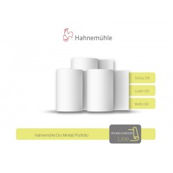 203 mm x 65 m | Hahnemühle Dry Minilab Glossy 250g | 2 role
