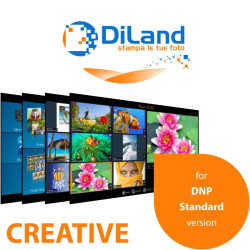 DiLand Kiosk 2 Creative option